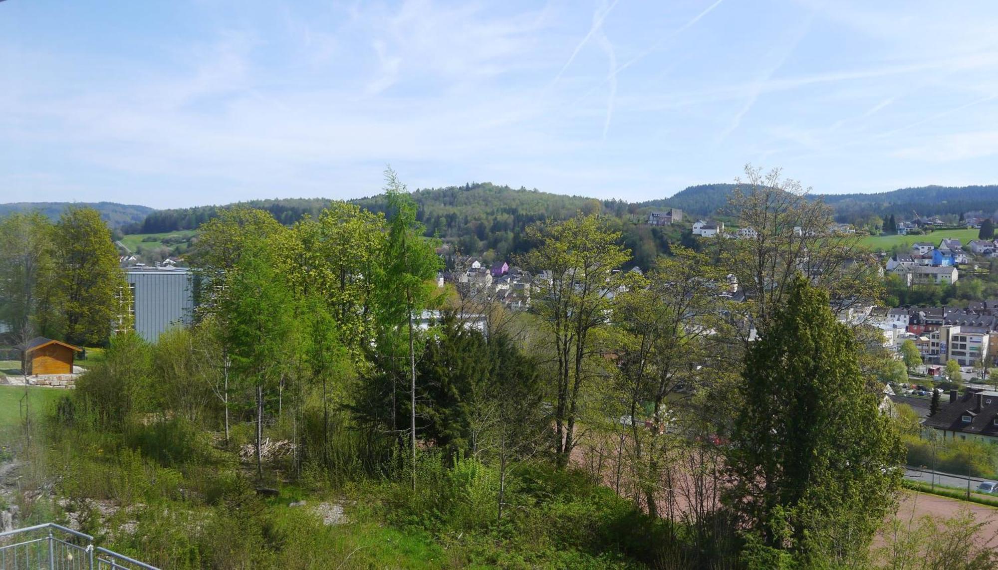 Vulkaneifel-Ferienwohnungen Am Felsenpfad Gerolstein Eksteriør bilde